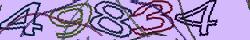 Retype the CAPTCHA code from the image