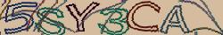 Retype the CAPTCHA code from the image