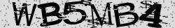 Retype the CAPTCHA code from the image