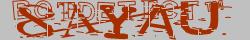 Retype the CAPTCHA code from the image