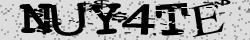 Retype the CAPTCHA code from the image