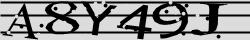 Retype the CAPTCHA code from the image