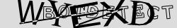 Retype the CAPTCHA code from the image