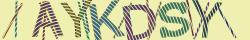 Retype the CAPTCHA code from the image