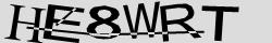 Retype the CAPTCHA code from the image