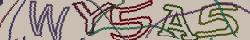 Retype the CAPTCHA code from the image