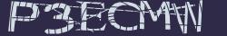 Retype the CAPTCHA code from the image