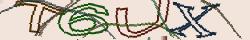 Retype the CAPTCHA code from the image