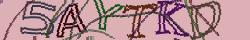 Retype the CAPTCHA code from the image