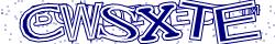 Retype the CAPTCHA code from the image
