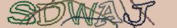 Retype the CAPTCHA code from the image