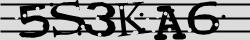 Retype the CAPTCHA code from the image