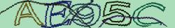 Retype the CAPTCHA code from the image