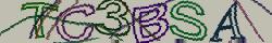 Retype the CAPTCHA code from the image