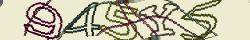 Retype the CAPTCHA code from the image