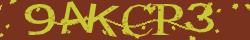 Retype the CAPTCHA code from the image