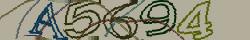Retype the CAPTCHA code from the image