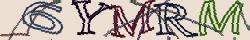 Retype the CAPTCHA code from the image