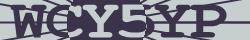 Retype the CAPTCHA code from the image