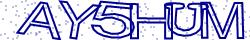 Retype the CAPTCHA code from the image