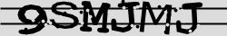 Retype the CAPTCHA code from the image