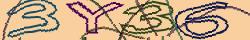 Retype the CAPTCHA code from the image