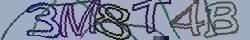 Retype the CAPTCHA code from the image