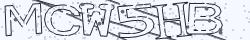 Retype the CAPTCHA code from the image