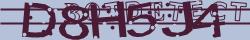 Retype the CAPTCHA code from the image