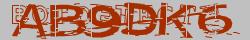 Retype the CAPTCHA code from the image