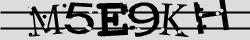 Retype the CAPTCHA code from the image