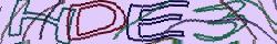 Retype the CAPTCHA code from the image