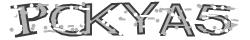 Retype the CAPTCHA code from the image