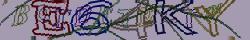 Retype the CAPTCHA code from the image