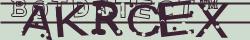 Retype the CAPTCHA code from the image