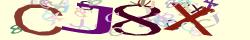Retype the CAPTCHA code from the image