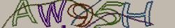 Retype the CAPTCHA code from the image