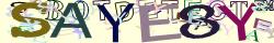 Retype the CAPTCHA code from the image