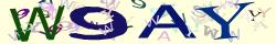 Retype the CAPTCHA code from the image