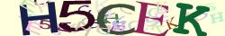 Retype the CAPTCHA code from the image
