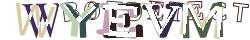 Retype the CAPTCHA code from the image