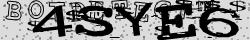 Retype the CAPTCHA code from the image