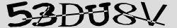 Retype the CAPTCHA code from the image