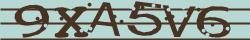 Retype the CAPTCHA code from the image