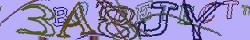 Retype the CAPTCHA code from the image