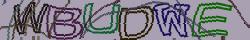 Retype the CAPTCHA code from the image