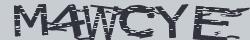 Retype the CAPTCHA code from the image