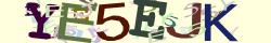 Retype the CAPTCHA code from the image