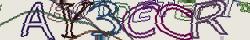 Retype the CAPTCHA code from the image