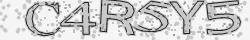 Retype the CAPTCHA code from the image